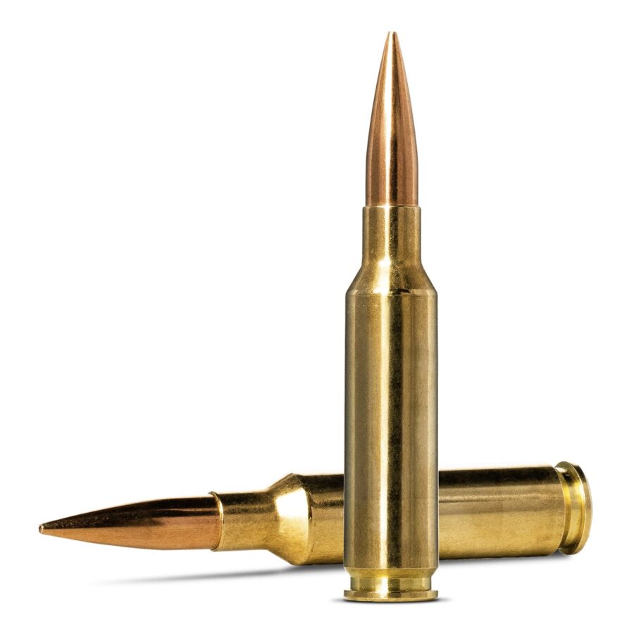 Norma 6.5mm Creedmoor 143gr HPBT Golden Target (GTX) - Image 3