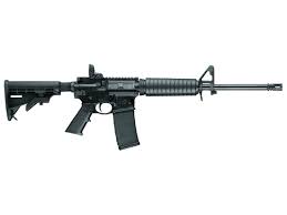 Smith & Wesson M&P 15 Sport II Rifle with Magpul MBUS Rear Sight 5.56x45mm 16″ Barrel 30-Round Polymer Black