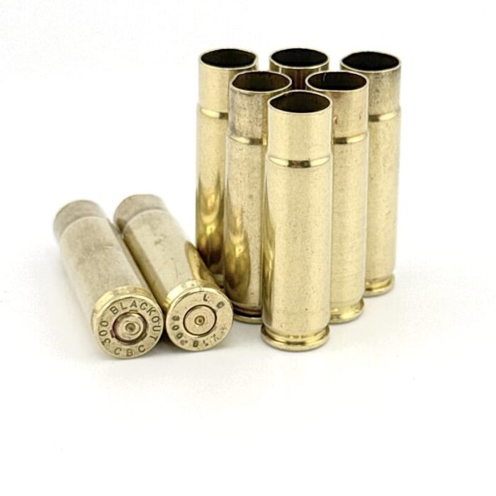 .300 - .300 AAC BLACKOUT – 500+