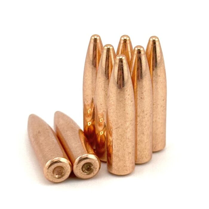 300 220gr - .300 AAC BLACKOUT (.309) 220gr Spire Point 500 ct.